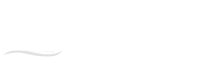 Palm Fan Store